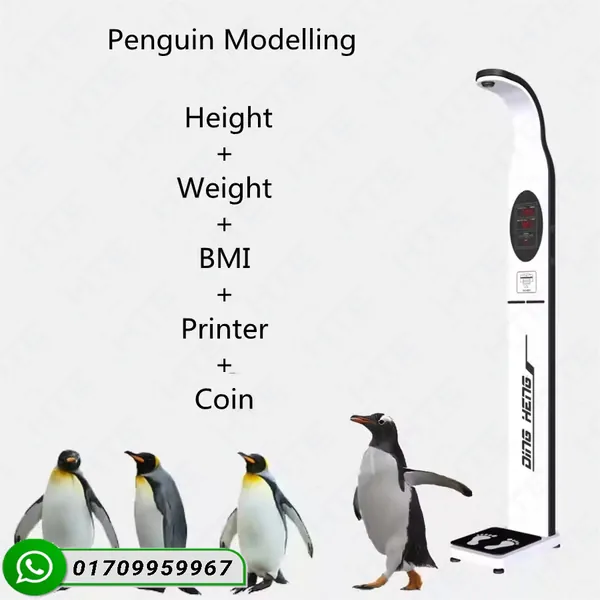 Digital Height Weight Machine with BMI (HTE-20T) - Best Price in Bangladesh - Image 3