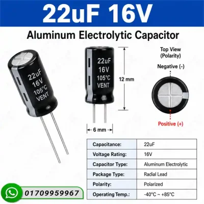 22uF 16V Aluminum Electrolytic Capacitor